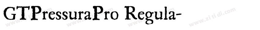 GTPressuraPro Regula字体转换